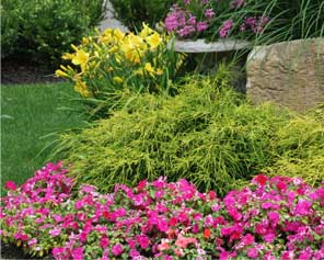 Little Silver Landscaping Company - Plantings